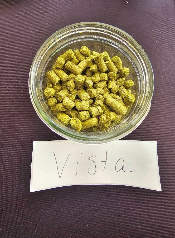 Vista Hops (2026 Harvest)