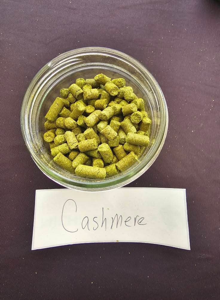 Cashmere Hops (2026 Harvest)