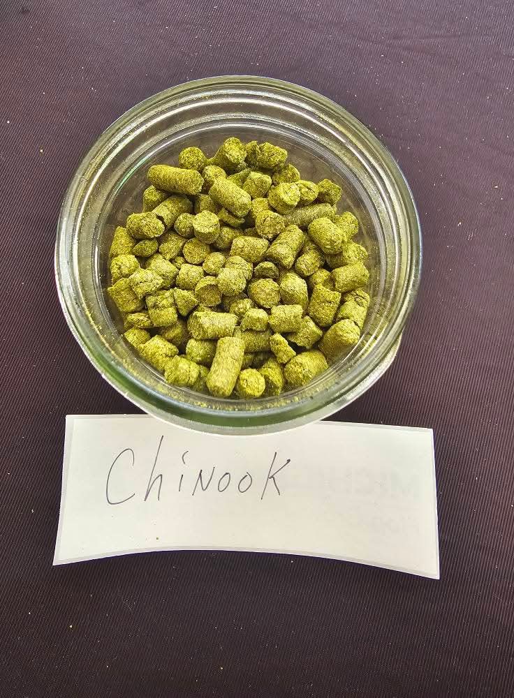 Chinook Hops (2025 Harvest)