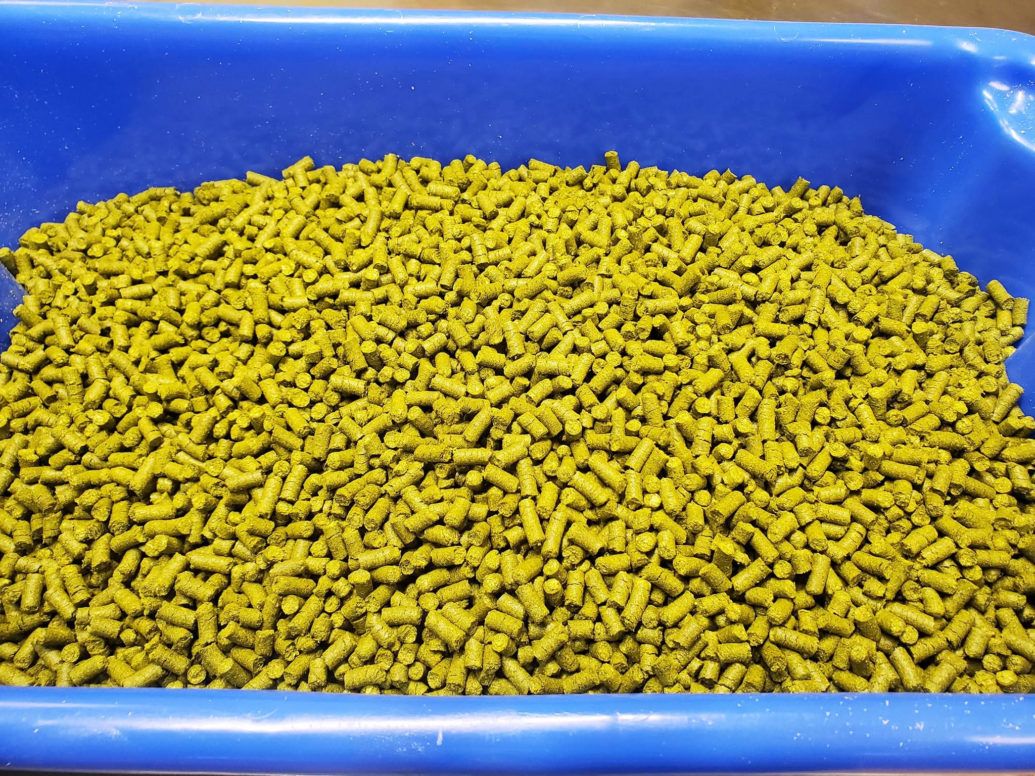 Centennial Hops (2026 Harvest)